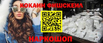 крисы Можга
