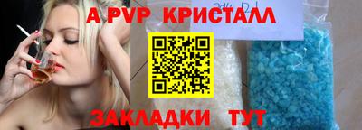 крисы Можга