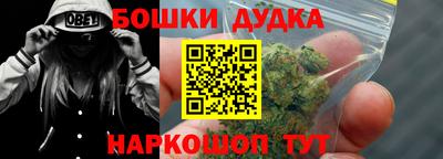 крисы Можга