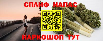 крисы Можга