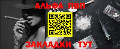 крисы Можга