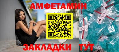 крисы Можга