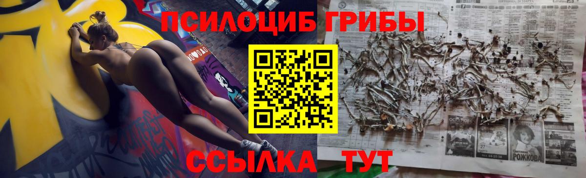 Псилоцибиновые грибы мицелий Волгоград